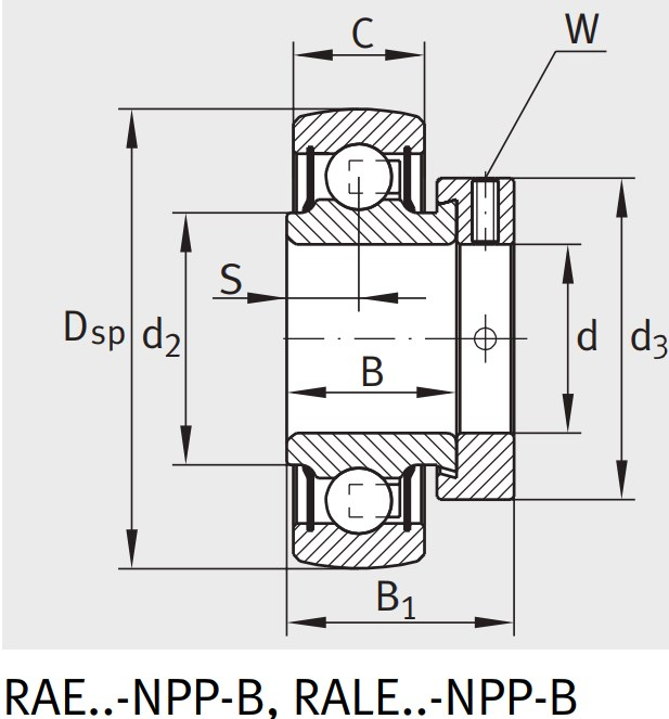 Закрепляемый подшипник RALE 25-XL-NPP-B