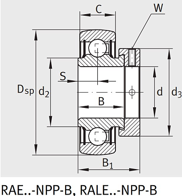 Закрепляемый подшипник RALE 25-XL-NPP-B