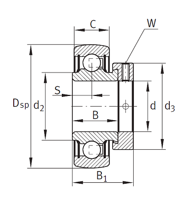 Закрепляемый подшипник RAE 50 XL NPP B