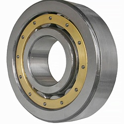 Роликовый цилиндрический подшипник N 309 FY