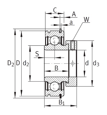 Закрепляемый подшипник RALE 25-XL-NPP-NR