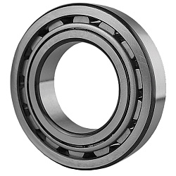 Роликовый цилиндрический подшипник N 313 W C3