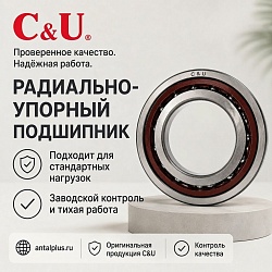 Радиально-упорный подшипник 7212 (ACP5)